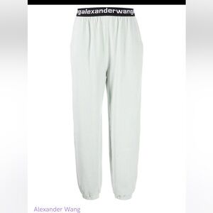 Alexander Wang stretch sweatpants